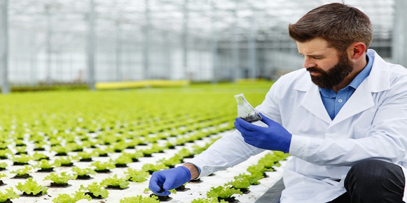 Agricultural Biotechnology Market - Analysis & Consulting (2021-2027)